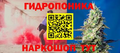 шишки Краснокаменск