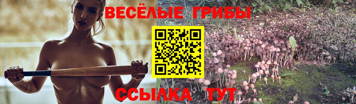 Псилоцибиновые грибы мицелий Костомукша